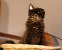 IMG_5248e