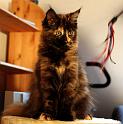 IMG_5250e