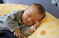 IMG_0202
