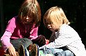 IMG_7736