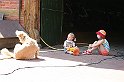 IMG_7770