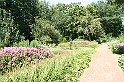 IMG_7782