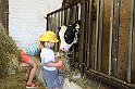 IMG_7786