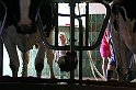 IMG_7868