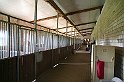 IMG_7999