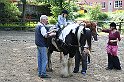 IMG_8011