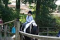 IMG_8019