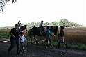 IMG_8033