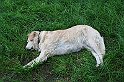IMG_8049