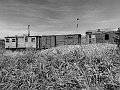 25072008087bw