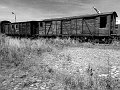 25072008088bw