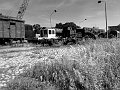25072008089bw