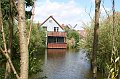 IMG_5975