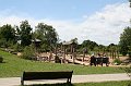 IMG_5977