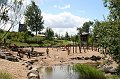 IMG_5978