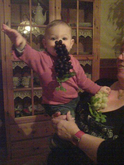 DSC00218.JPG - Wintrauben bei Oma. Leider nicht echt (Papa: Gott sei dank nicht echt).