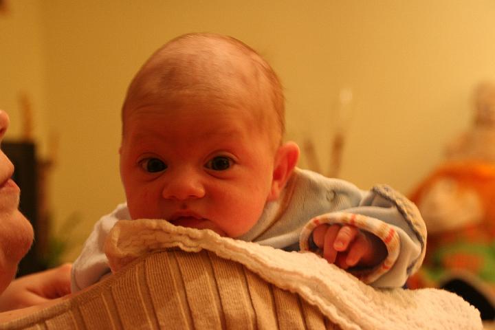 IMG_2664.JPG