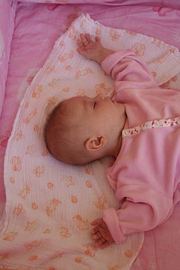 IMG_3734.JPG