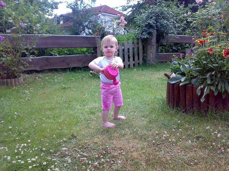 29062008031.jpg