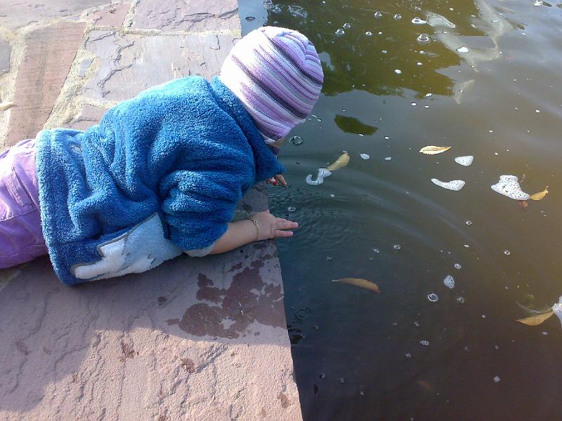 11102008198.jpg