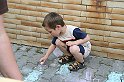 IMG_7524