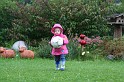 IMG_6353