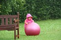 IMG_6358